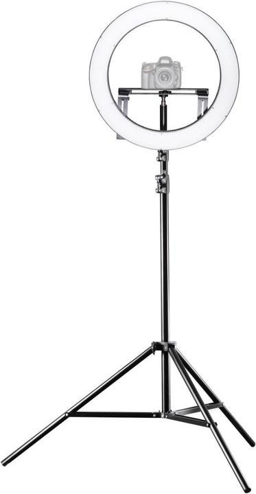 Image du produit Walimex RLL-500BV (éclairage annulaire)