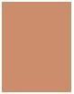 Actual product image Clinique True Bronze (03 Sunblushed, Bronzer, 9.35 g)