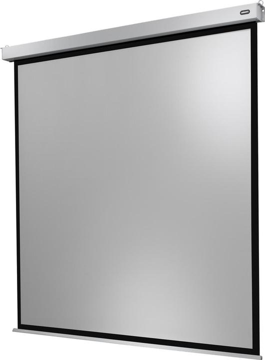 Produktbild Celexon Motor Professional Plus (133", 1:1)