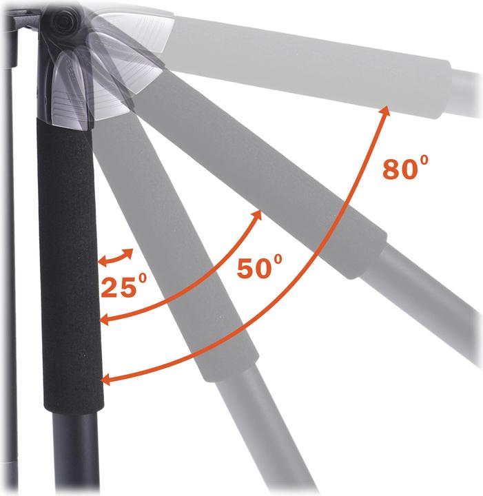 Actual product image Vanguard Alta Pro 263AGH