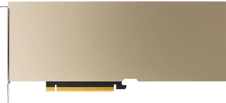 Actual product image PNY NVIDIA A10 MODULE 24GB (24 GB)