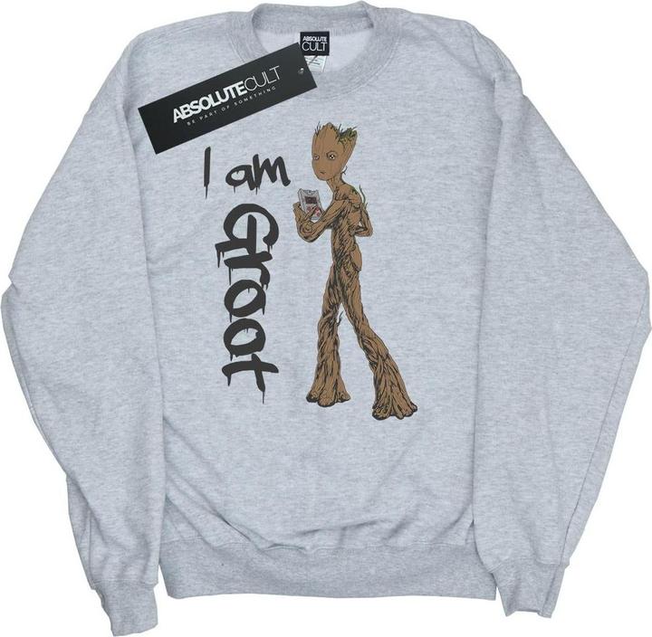 Actual product image Boys Avengers Infinity War Graffiti Groot Sweatshirt (140, 146)