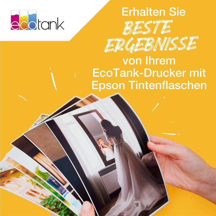 Actual product image Epson 104 Multipack (M, Y, C, FC)