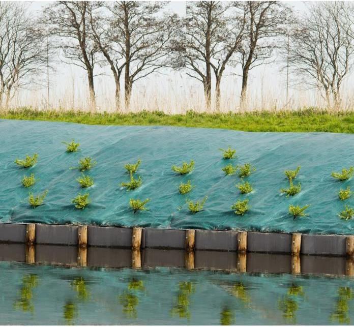 Immagine prodotto Nature lennox (2500 cm, 100 cm)