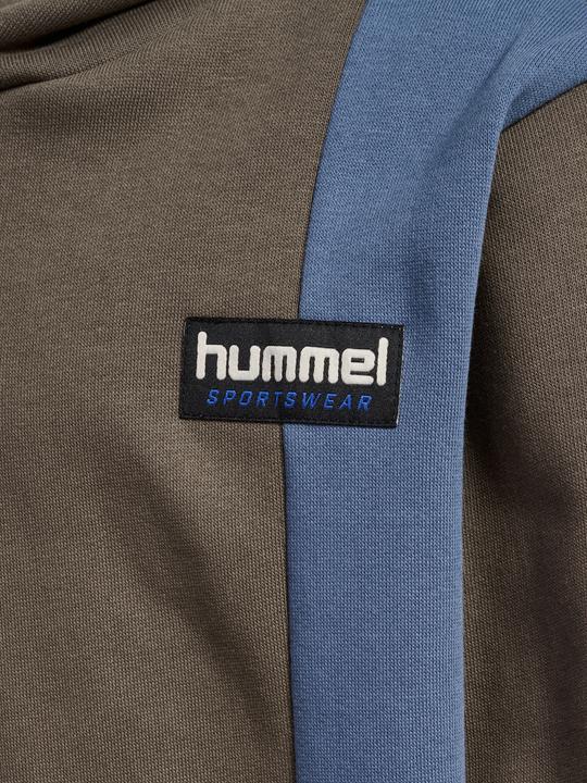 Actual product image hummel hmlALLTON HOODIE (104)