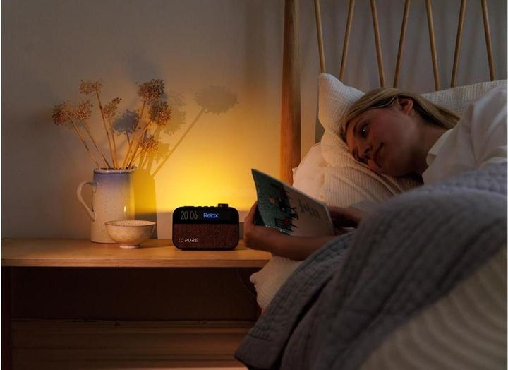 Image du produit Pure Moment (FM, DAB+ DAB, Bluetooth)