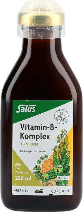Produktbild Salus Vitamin-B-Komplex (1 Stück, Flüssigkeit, 601 g)