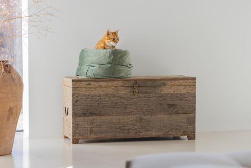 Produktbild Designed by Lotte Fluco (Hund)
