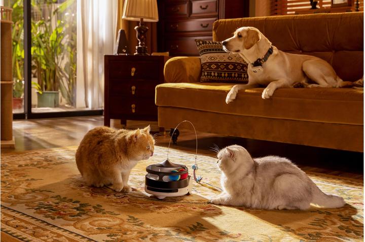 Actual product image Enabot ROLA PetPal Interactive Toys (Cat activity toy)