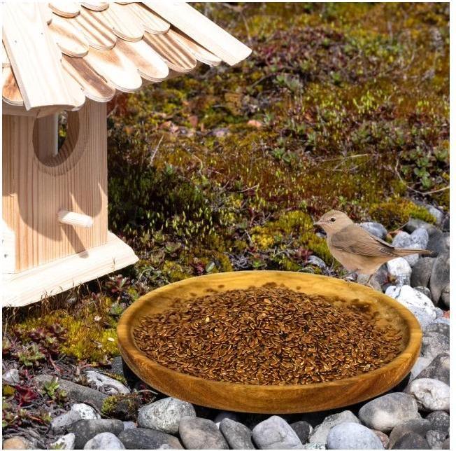 Produktbild Lyra Pet Leinsamen (10 kg)