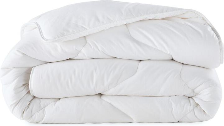 Immagine prodotto La Redoute Interieurs Standard LRI (490 g, 140 x 200 cm)