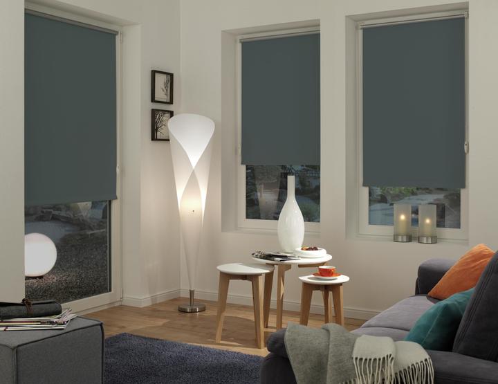 Image du produit Gardinia Easyfix Thermo (100 x 150 cm)
