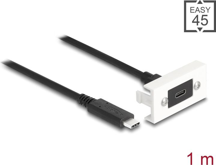 Image du produit Delock Module Easy 45 SuperSpeed USB 10 Gbps (1 m, USB 3.2 Gen 2)