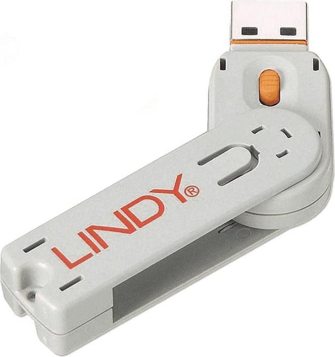 Actual product image Lindy Key for USB port lock