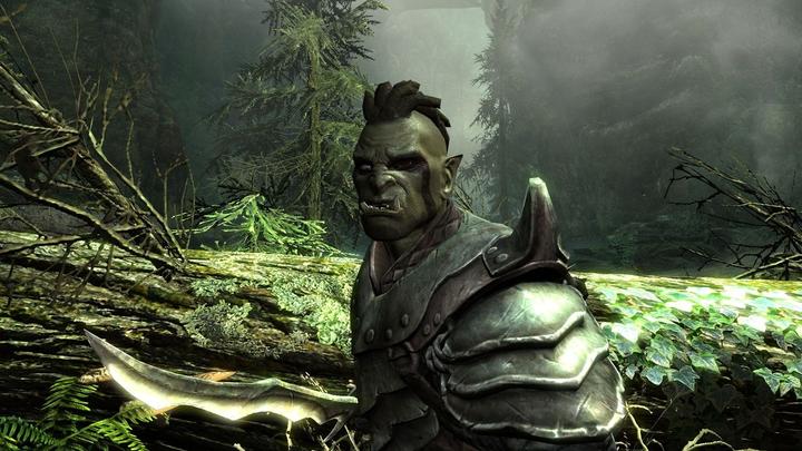 Image du produit Bethesda The Elder Scrolls V : Skyrim (Switch, Multilingue)