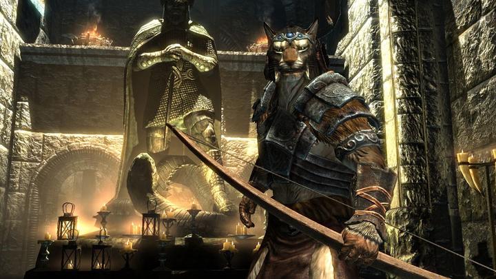 Image du produit Bethesda The Elder Scrolls V : Skyrim (Switch, Multilingue)