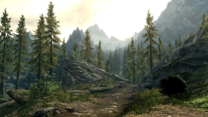 Image du produit Bethesda The Elder Scrolls V : Skyrim (Switch, Multilingue)