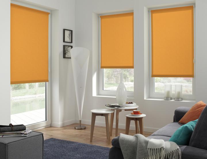 Produktbild Gardinia Easyfix Uni Rollo (60 x 150 cm)