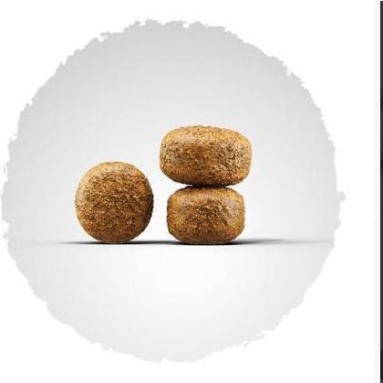 Immagine prodotto Josera Equilibrio (Senior, 1 pz., 900 g)