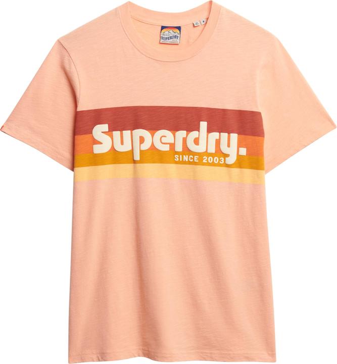 Actual product image Superdry Terrain Logo Stripe Relxed Tee (S)