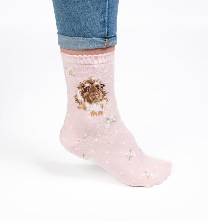 Wrendale Design Socken Guinea Pig - Meerschweinchen (35 - 40)