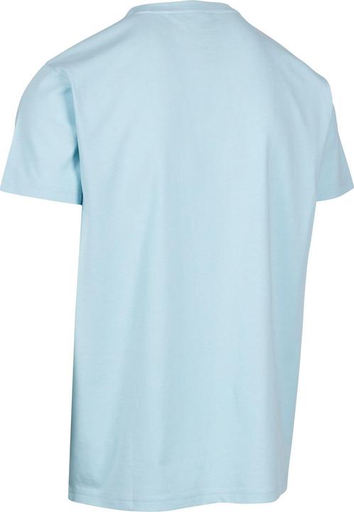Actual product image Trespass Mens Cedarf Printed T-Shirt (XS)