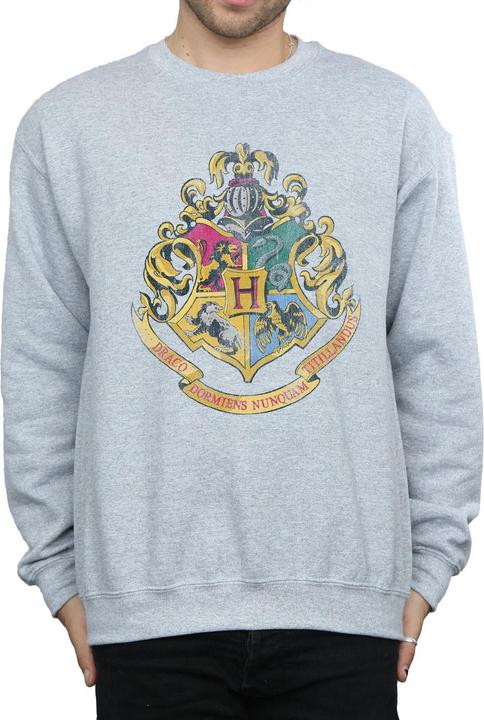 Image du produit - Sweat - Homme (L)