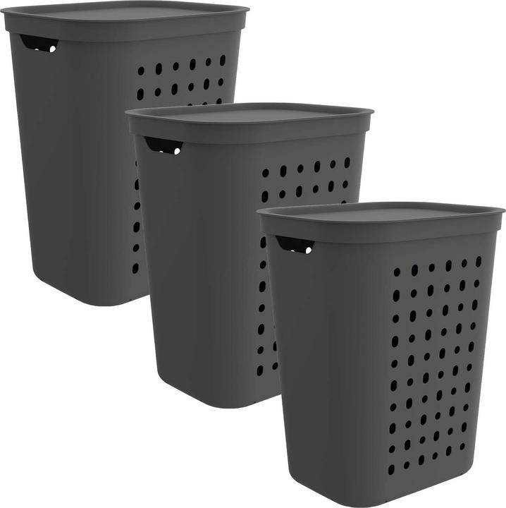 Image du produit Rotho Lot de 3 collecteurs de linge Jona 55l