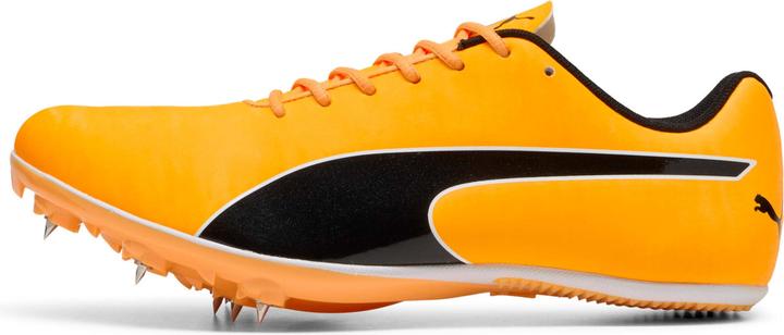 Immagine prodotto Puma evoSPEED Sprint 14.5 (45)
