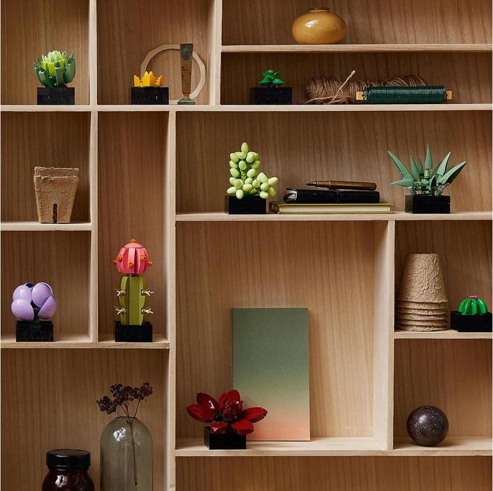 Actual product image LEGO Succulents (10309, LEGO Botanical, LEGO Rare Sets)
