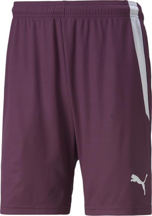 Actual product image Puma teamLIGA Shorts-704924 (XXL)
