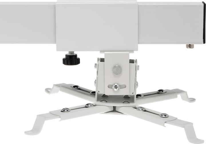 Actual product image Celexon WM600, white (Wall)