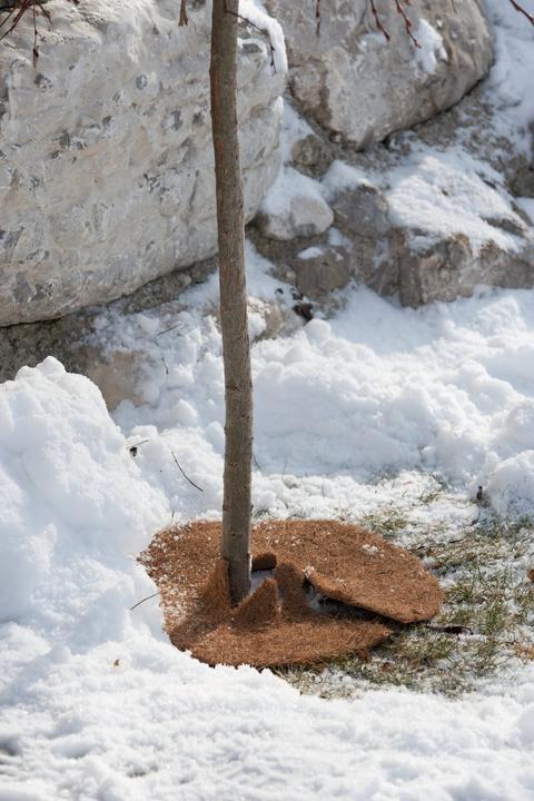 Actual product image Windhager Mulching disc Cocodisc