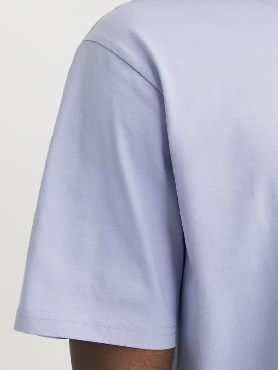 Actual product image Jack & Jones Jorvesterbro Tee Ss Crew Neck Noos (M)