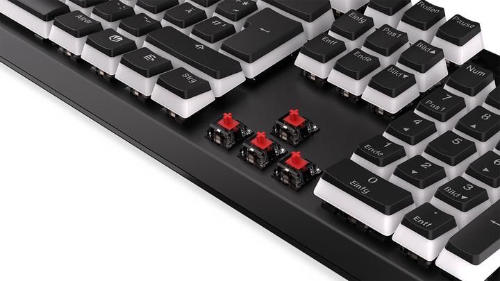 Actual product image Endorfy Keyboard Thock (DE, Cable)