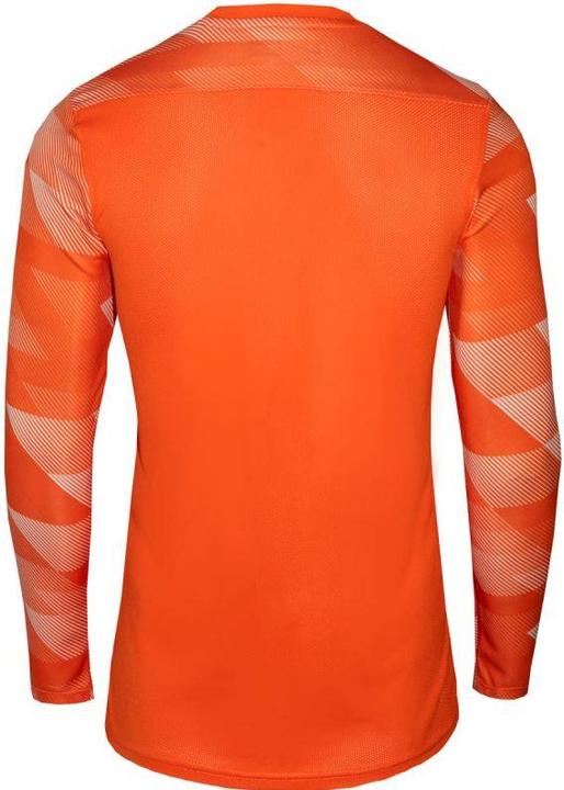 Actual product image Nike Park Iv Tw Jersey Long Sleeve (48, 50)