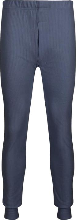 Actual product image Regatta Thermal Underpants Long (XL)