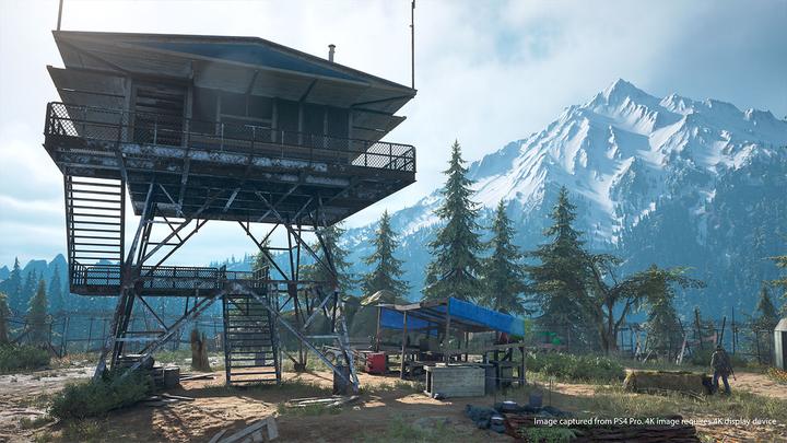 Produktbild Sony Days Gone (PS4, Multilingual)