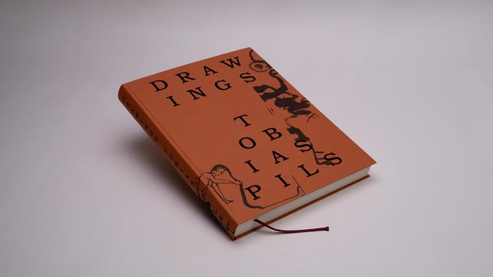 Produktbild Pils:Tobias Pils (Englisch, Willi Schmid, David Kordansky Gallery, Richard Shiff, Galerie Gisela Capitain, Galerie Eva Presenhuber, Tobias Pils, 2024)