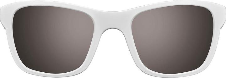Produktbild Julbo Reach L Spectron 3 Brille