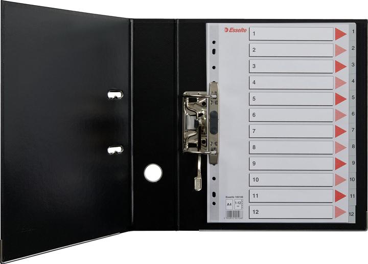 Actual product image Esselte Plastic register