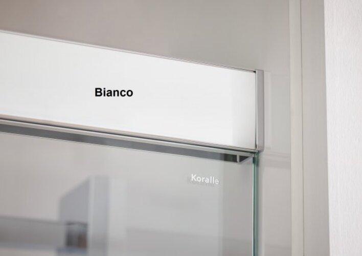 Immagine prodotto Koralle S600Plus Porta scorrevole per doccia ad angolo EDS2 120 L, gamba sinistra, 1200mm (91.30 cm, 208.80 cm, 25.20 cm)