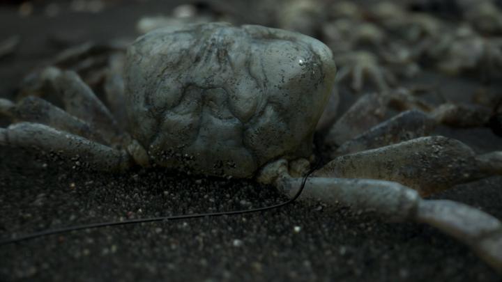 Immagine prodotto Sony Death Stranding PlayStation 4, PlayStation 4 Pro (PS4, DE)