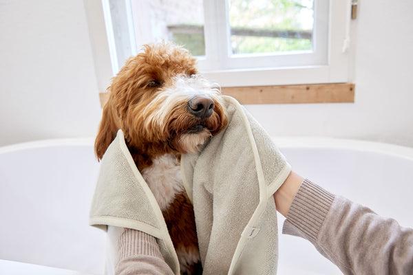 Actual product image Palopa Dog towel (Dog)
