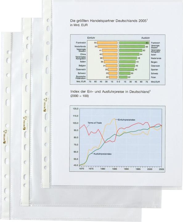 Image du produit Pochettes Economy grainées A4 (A4, 100 x)