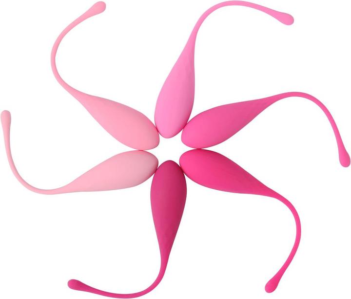 Actual product image FeelzToys FemmeFit (50 -130 g)