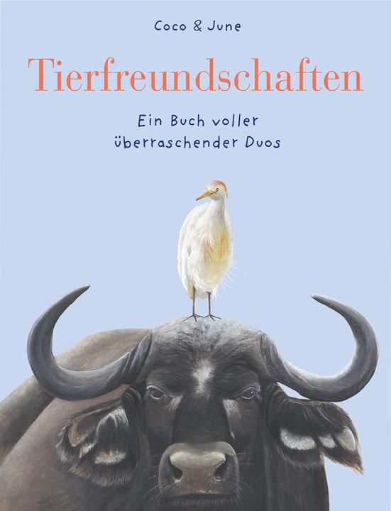 Produktbild Tierfreundschaften (Deutsch, Coco|June, Eva Schweikart, Coco&June, 2023)