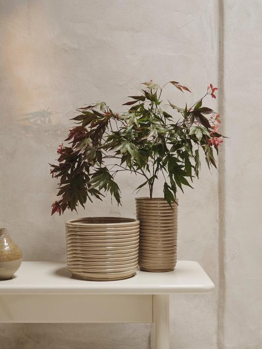 Image du produit Ferm Living Corduroy (1 x, 12 x 12 x 21 cm, 8 l)