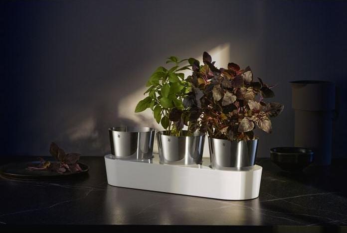 Actual product image WMF herb garden (14 cm)
