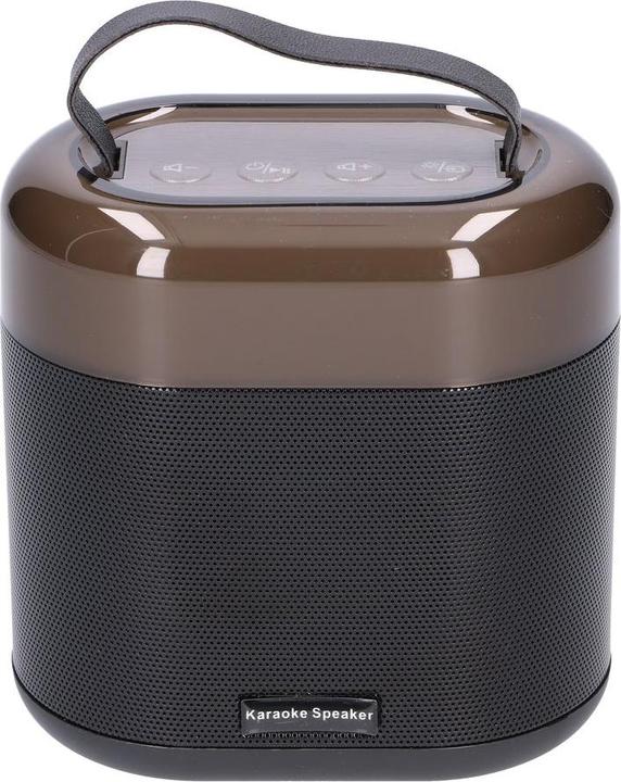 Extralink Kids Karaoke LED Speaker 2 Microphones Black